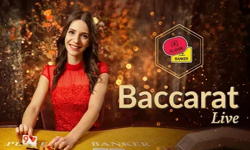 Immersive Live Casino Experience